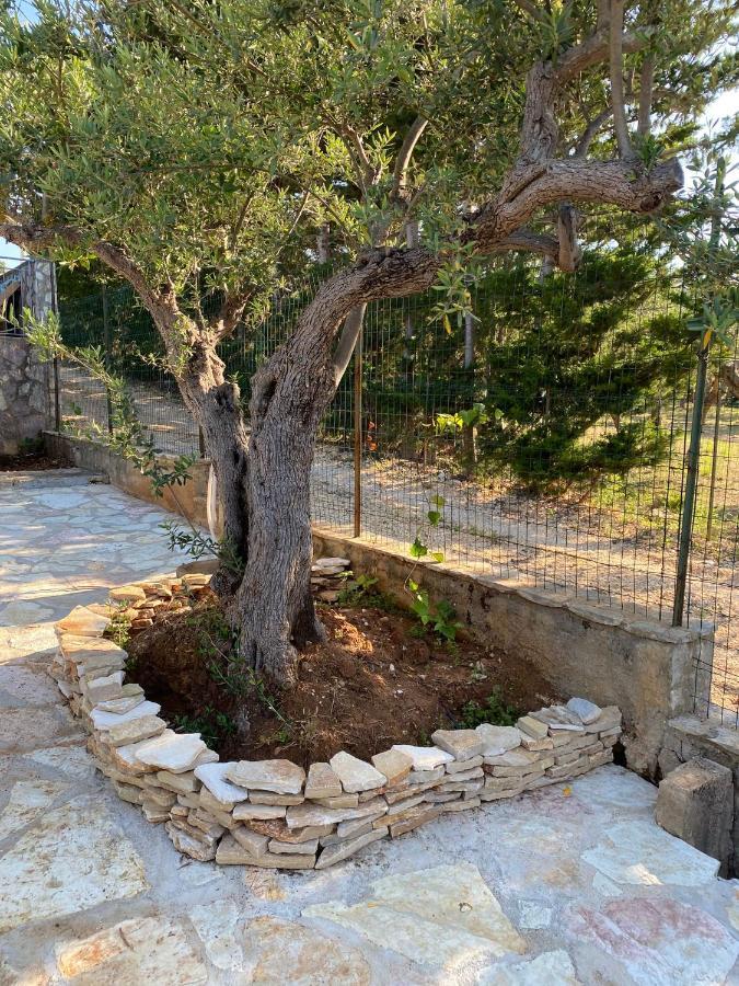 Villa L'Orizzonte Di Calabianca Castellammare del Golfo Bagian luar foto