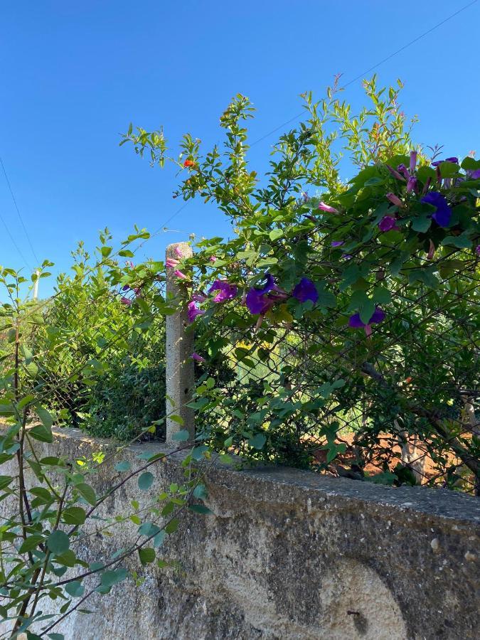 Villa L'Orizzonte Di Calabianca Castellammare del Golfo Bagian luar foto