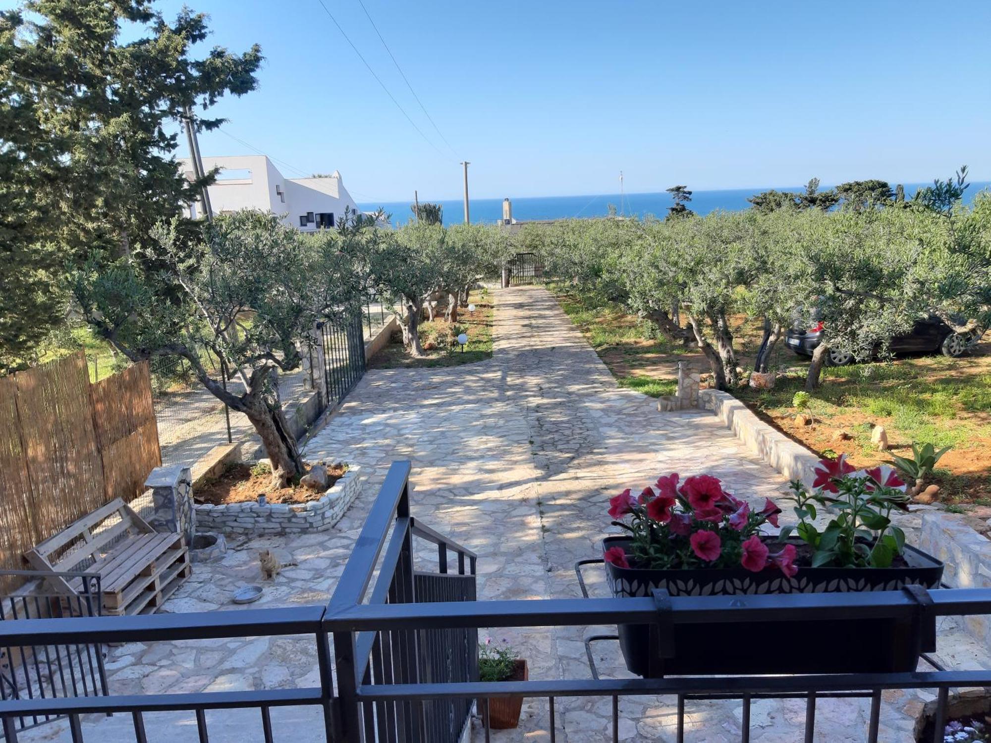 Villa L'Orizzonte Di Calabianca Castellammare del Golfo Bagian luar foto