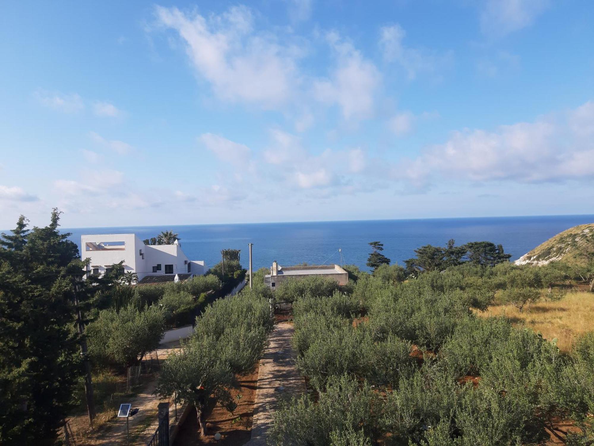 Villa L'Orizzonte Di Calabianca Castellammare del Golfo Bagian luar foto