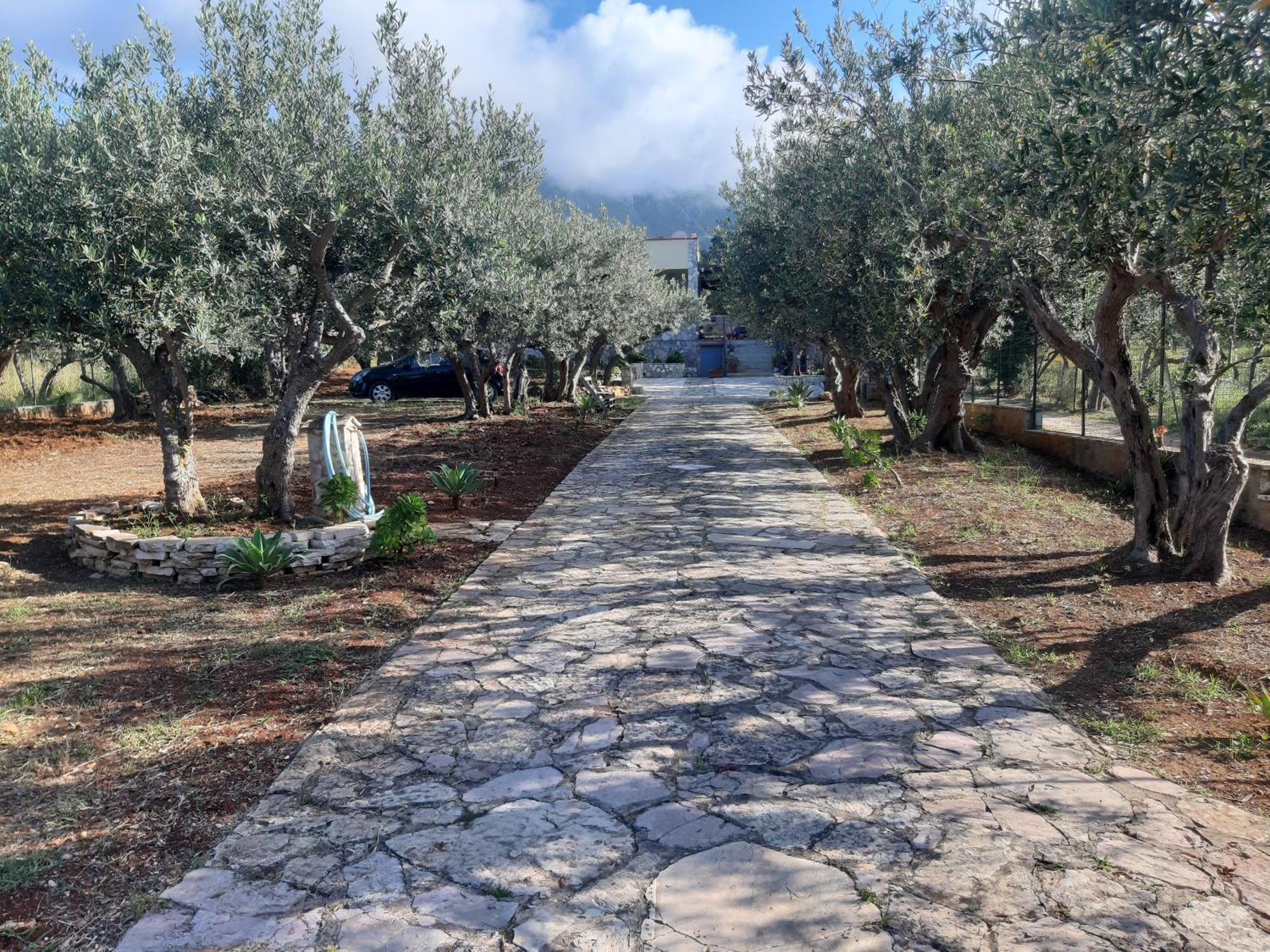 Villa L'Orizzonte Di Calabianca Castellammare del Golfo Bagian luar foto