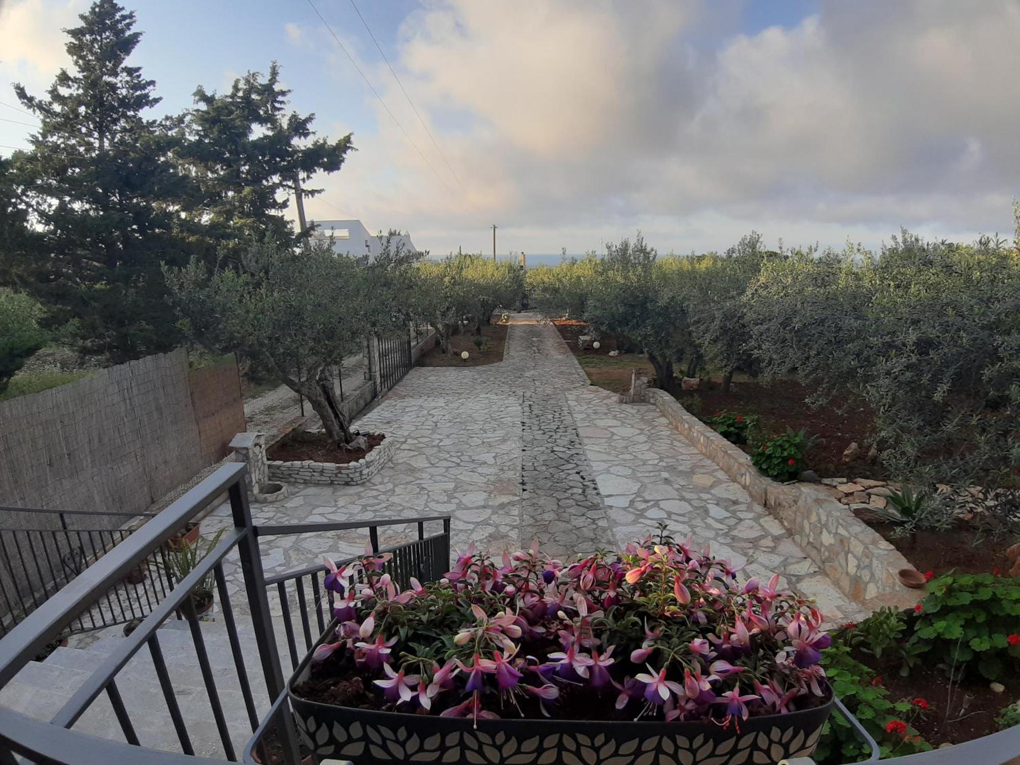 Villa L'Orizzonte Di Calabianca Castellammare del Golfo Bagian luar foto