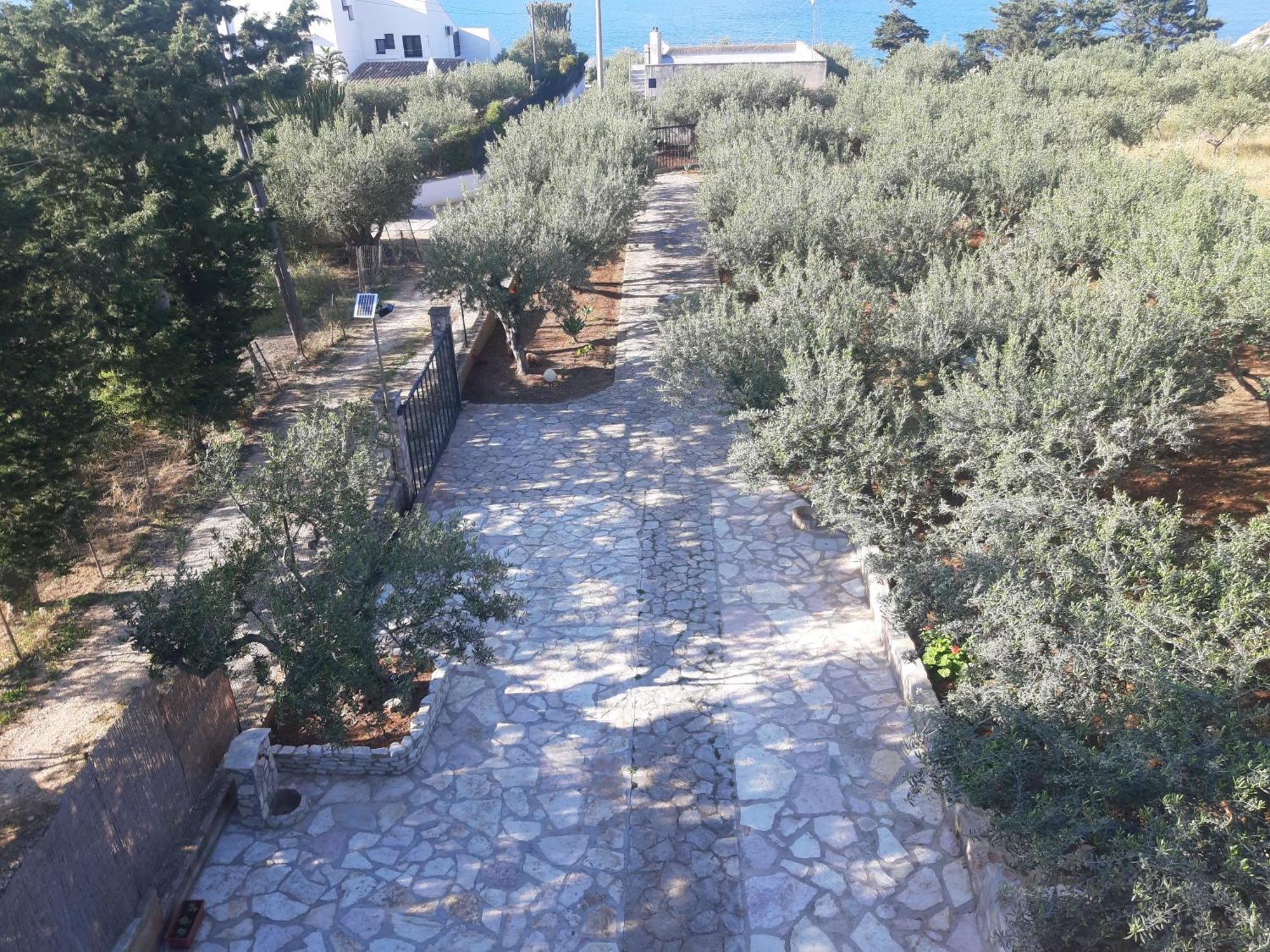Villa L'Orizzonte Di Calabianca Castellammare del Golfo Bagian luar foto